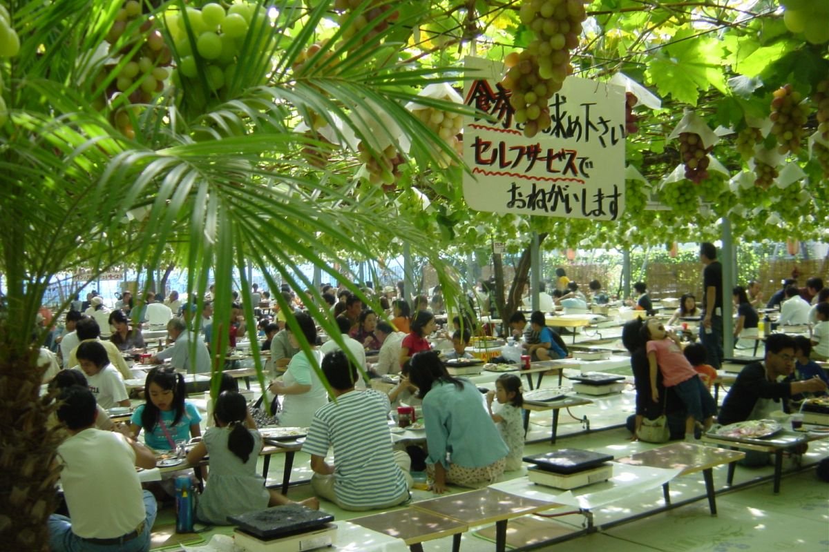 🍇 시로네 포도 정원(시로네 그레푸 가덴) 이미지 5